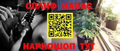 дживик Гусь-Хрустальный
