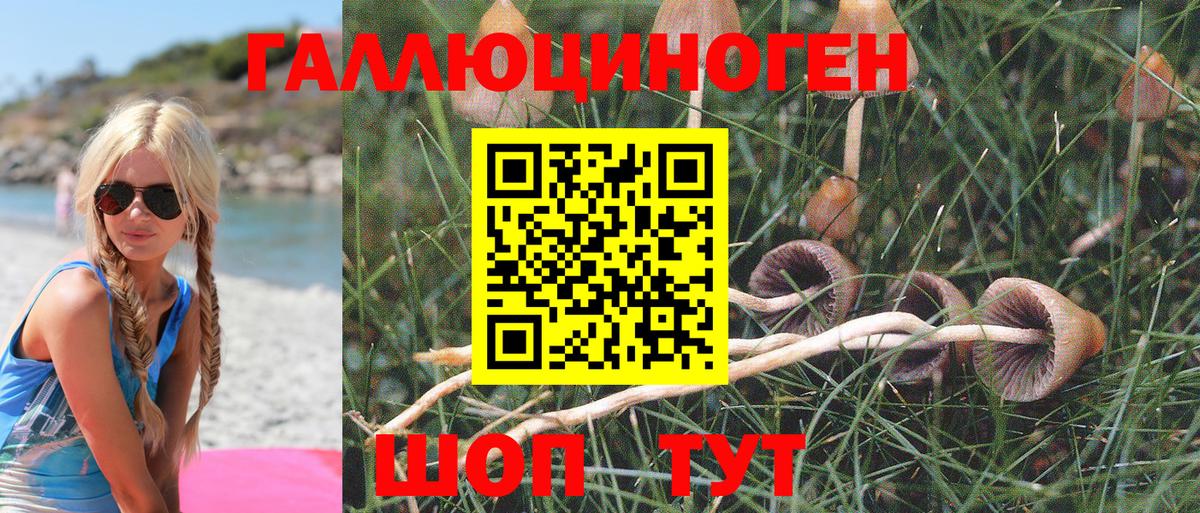 Псилоцибиновые грибы MAGIC MUSHROOMS Мурманск